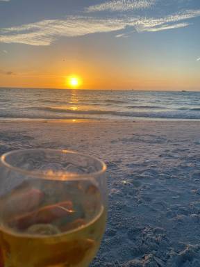 House Pet-friendly Isle Of Palms