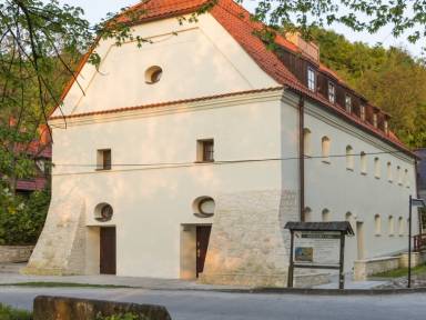 Apartament Przyjazny zwierzętom Janowiec