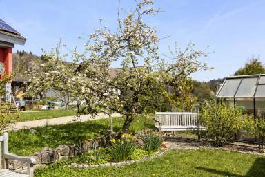 Ferienhaus Internet Weil am Rhein