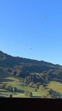 Appartement Praz-sur-Arly