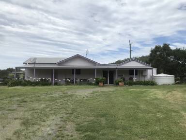 Farmhouse Pet-friendly Clarence Town