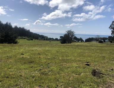House Pet-friendly Westhaven-Moonstone