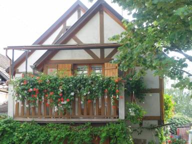 Cottage Kintzheim