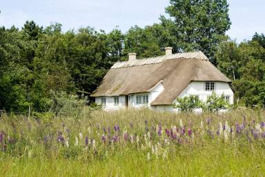 Cottage Borre