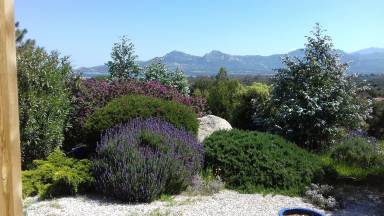 Ferienwohnung Calvi