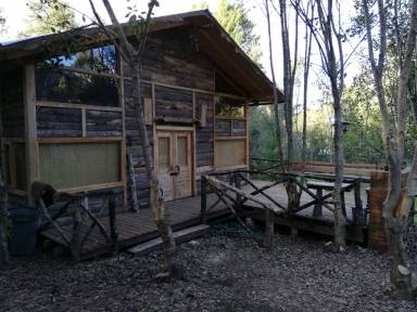 Hütte Pucón