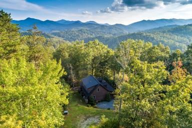 Cabin Sylva