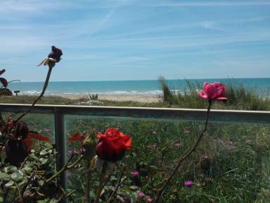House Anzio