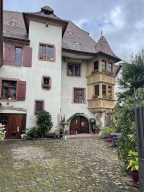 Apartment Yard Thannenkirch