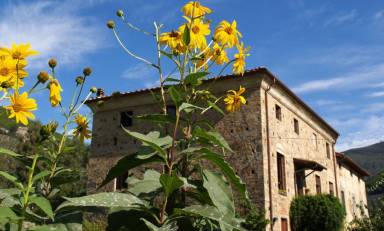 Case vacanza a Calci, borgo sparso della Valle Graziosa - HomeToGo