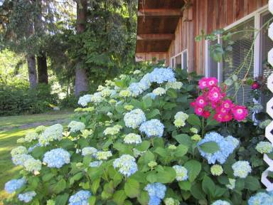 Cabin Forks