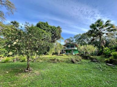 House Cahuita