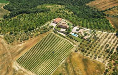 Chianciano Terme, case vacanza immerse nel cuore verde della Toscana - HomeToGo