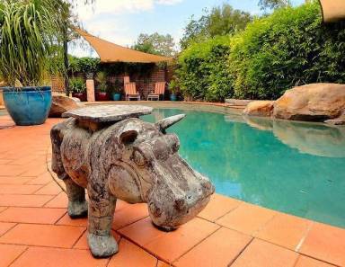 Apartment Pool Alice Springs