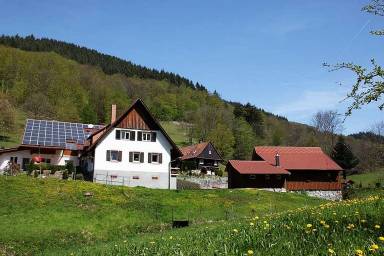 Ferienhaus Oberkirch