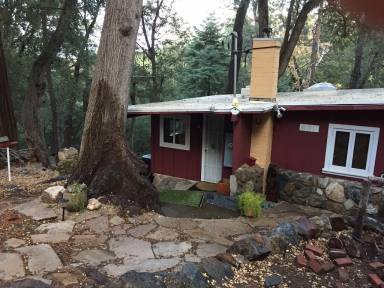 Cabin Palomar Mountain
