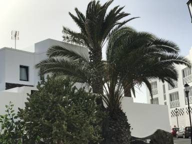 Appartamento Corralejo