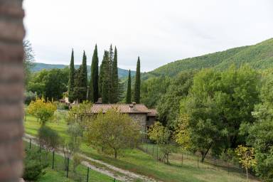 Farmhouse Chitignano