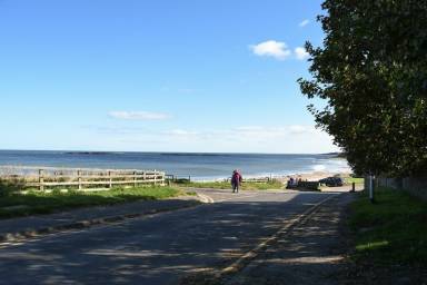 Cottage Pet-friendly Craster