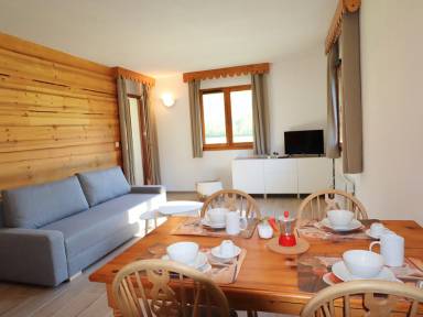 Appartement Grand Massif Domaines Skiables