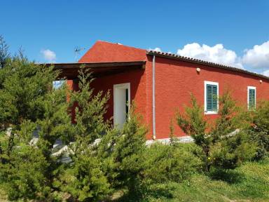 House Stintino