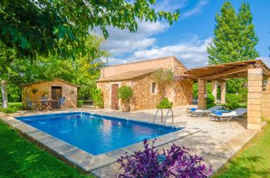 Villa Pool Algaida