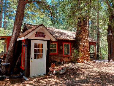 Cabin Palomar Mountain